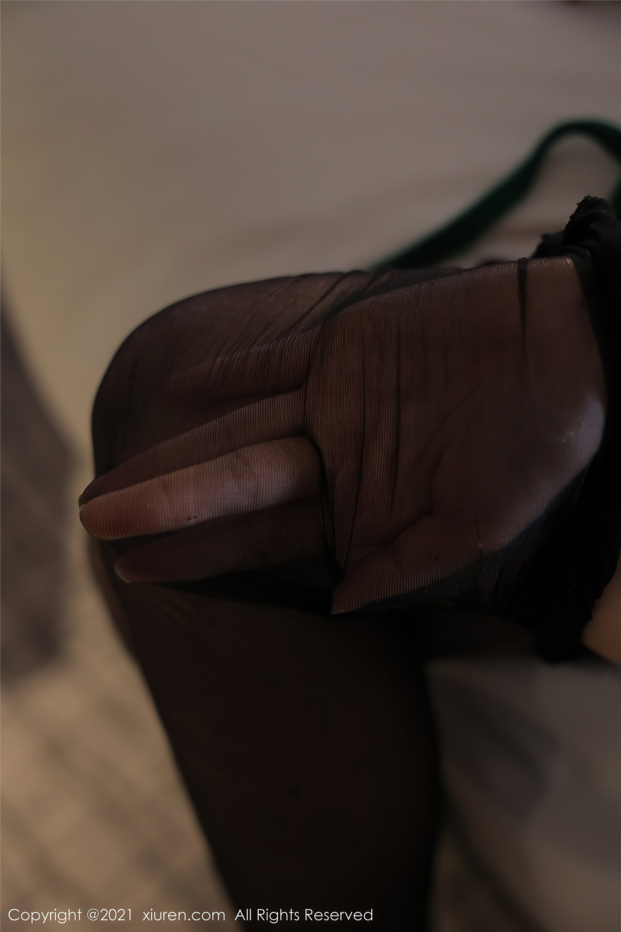 Xiuren秀人网 2021.12.20 NO.4358 月音瞳